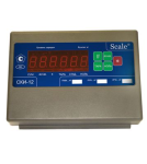 scale-ski-8
